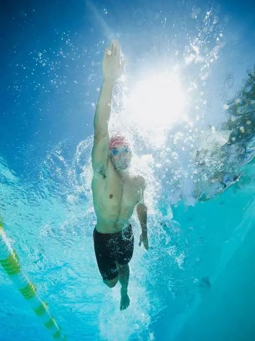 【游泳技巧】游自由泳,四要素助你保持流线型身姿