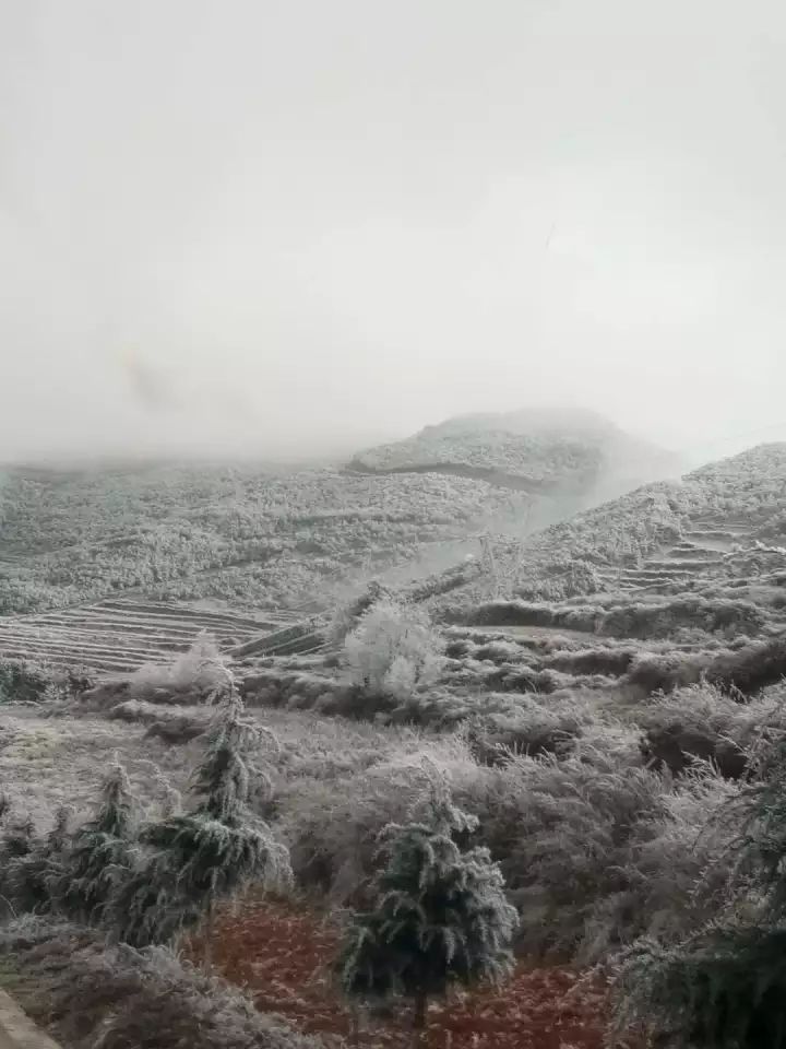 会泽大海草山已经下雪啦,漂亮极了!(多图)