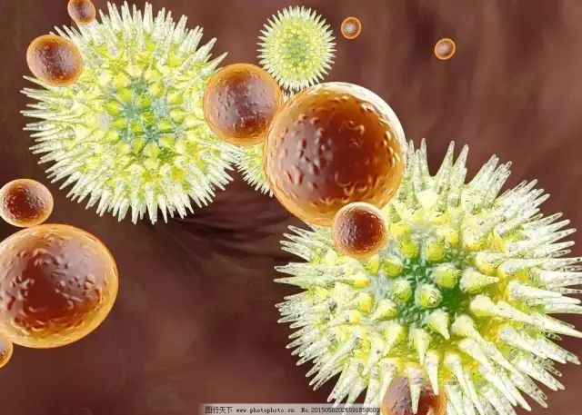 如何区分细菌感染与病毒感染?