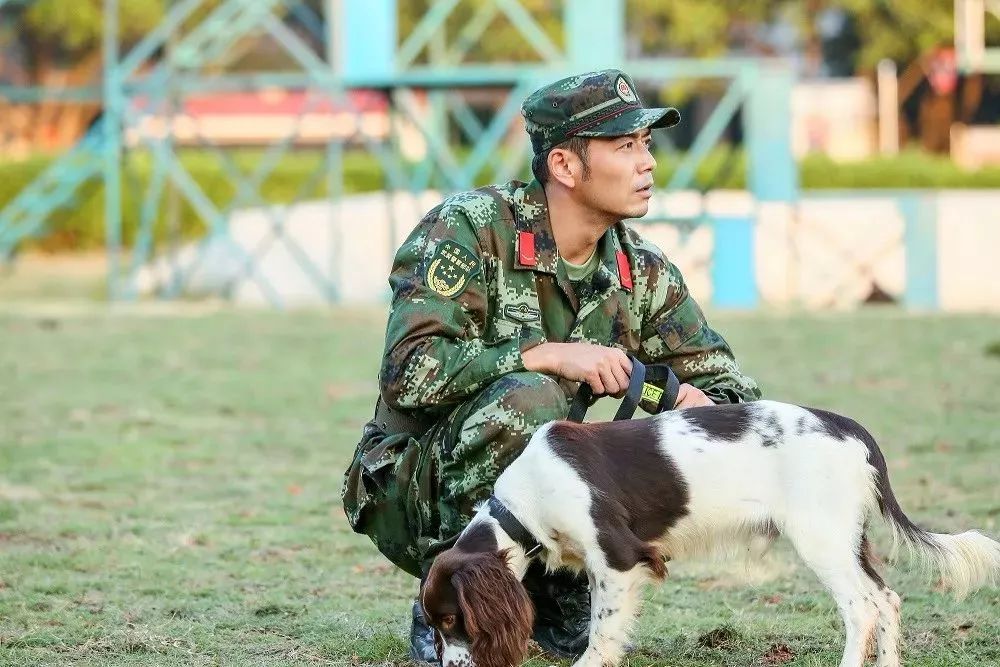 危机爆发后情感修复上演大逆袭关系转机奇兵神犬全景式展现人犬关系