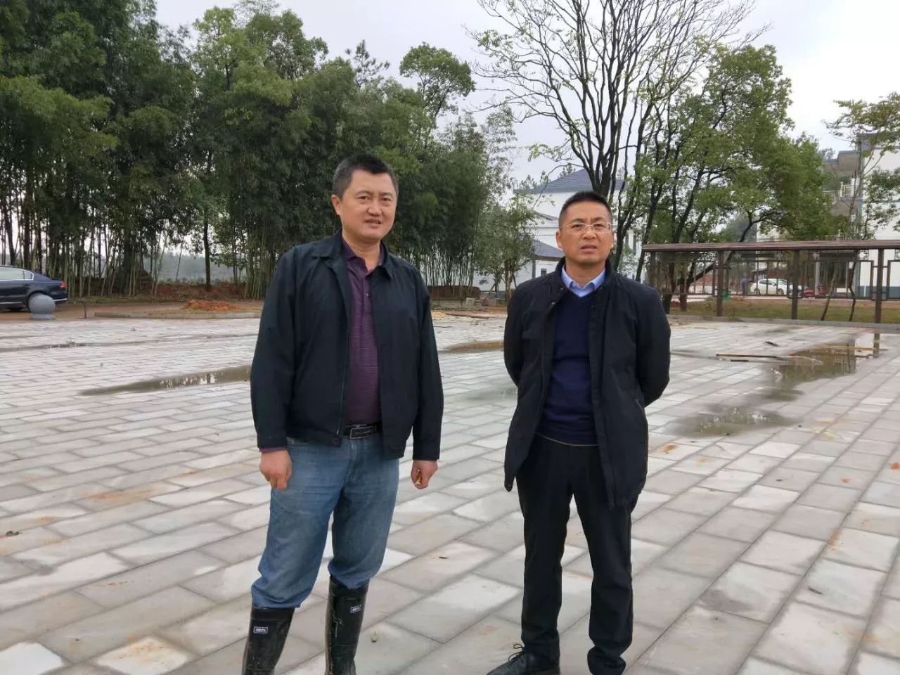 11月22日上午,副区长赵建颖到秦峰镇老坞村现场推进秀美乡村建设.