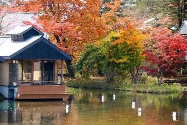 日本名宿的成功模式,海南能否复制?