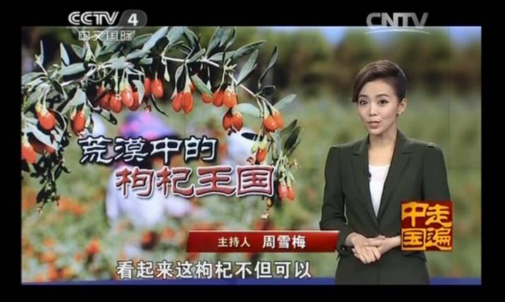 2014年10月27日,cctv4播出《走遍中国》 8集系列片《中国特产》(4)