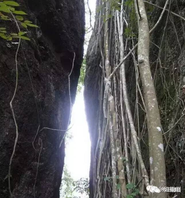 【魅力藤县】龙母山探幽