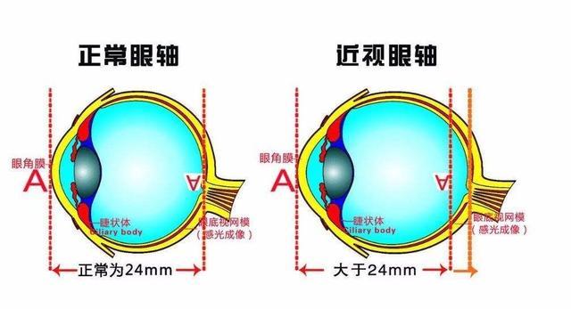 人口膨胀带来的问题_品聚贸易的关注 33(3)