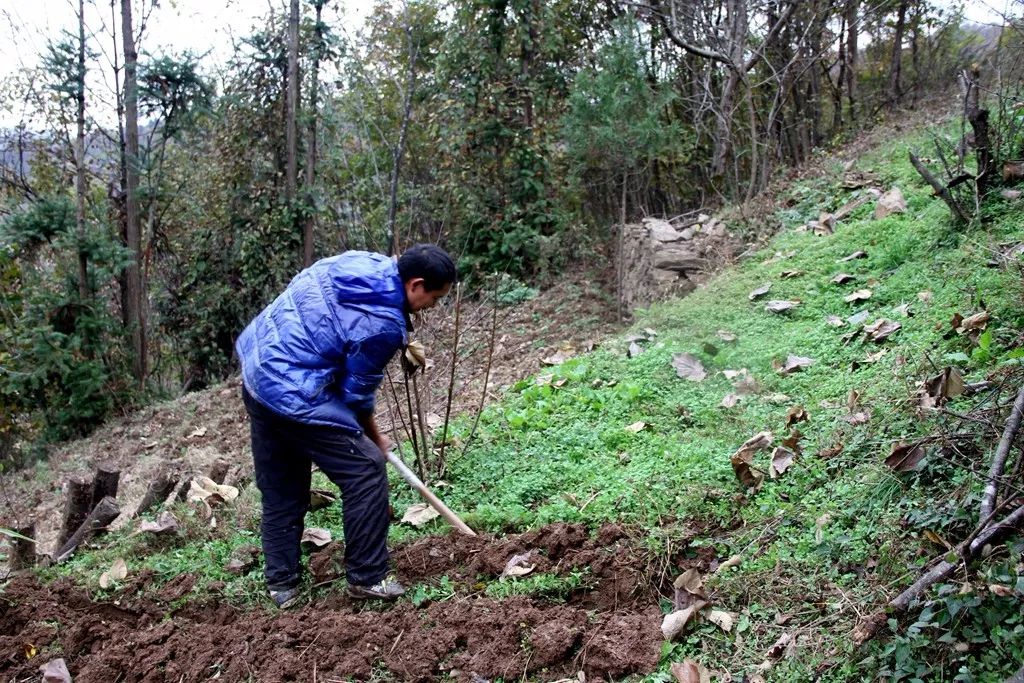 勇挑千斤重担,积极乐观生活,陈世军对如期脱贫有信心