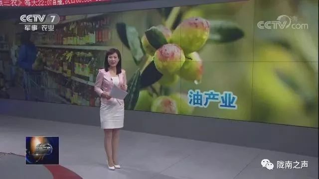 昨晚,武都这个宝贝登上cctv7《聚焦三农》!