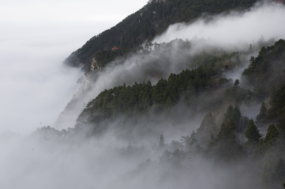 【诗歌专号 · 名家巡礼】梁平:指点江山