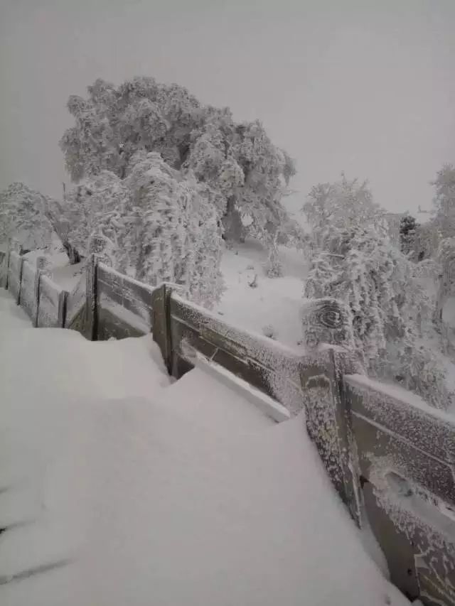 宜宾两名90后摄影师清晨5点出发登上大雪山山顶拍下了最美的雪景筠连