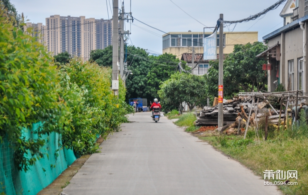 东阳市有多少人口_以后东阳人在家门口就可以上浙大啦