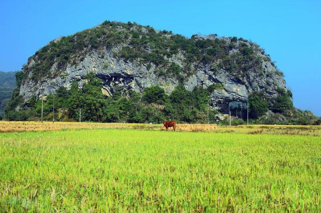 灵川城区人口_灵川六中图片(2)