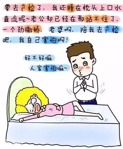 漫画|假如爸爸怀孕了。。。。。_图1-3