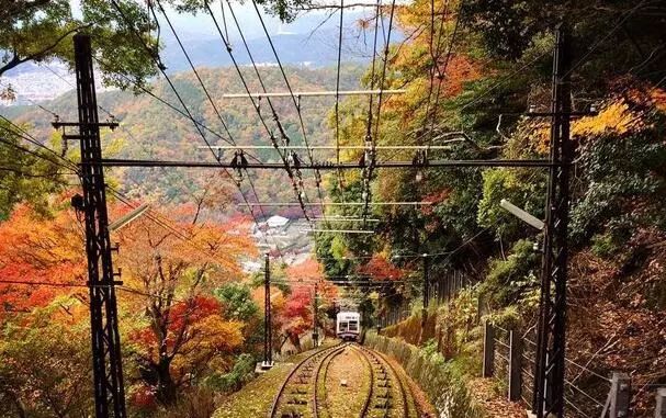 致铁道摄影迷日本有哪些值得一拍的铁道风景