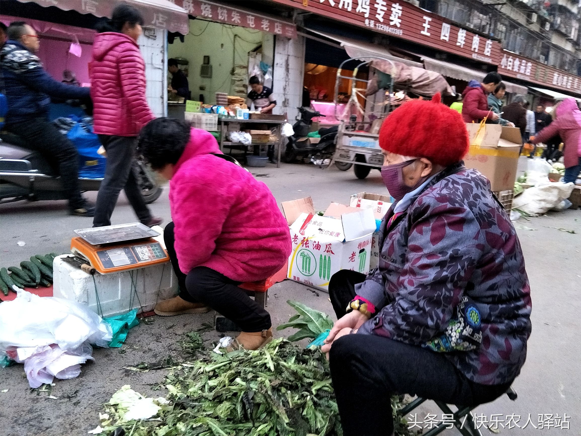 10张冬天路边摆摊图,小贩:白菜价,再便宜就赔钱了