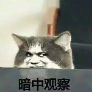 唇毛怎么办