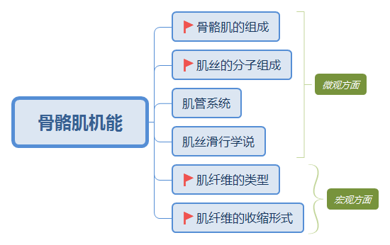 导语: 近年来教师资格考试当中运动生理学相关内容逐渐增多,骨骼肌机