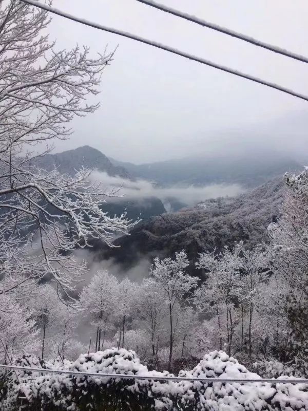 再来欣赏这两天网友发来的北川雪景 (北川文广新旅局)