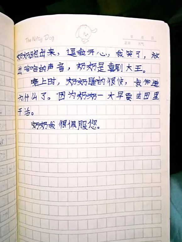 洪洞一个九岁娃娃写的日记,虽然有错别字,但却很真实
