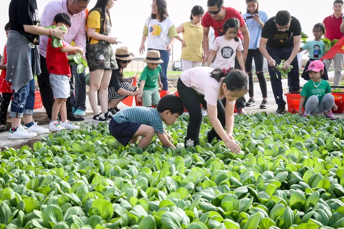 温超绿色农场开园活动圆满成功新一季农场亲子参观活动又要开始啦