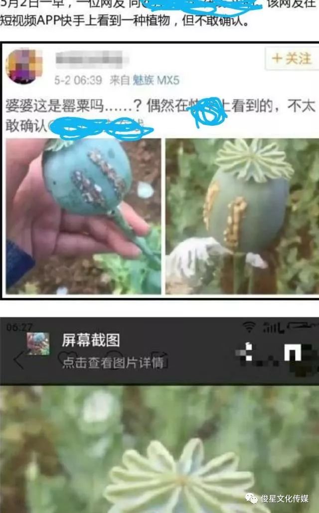 为绿色网络而共同努力!绿色绿色绿色!