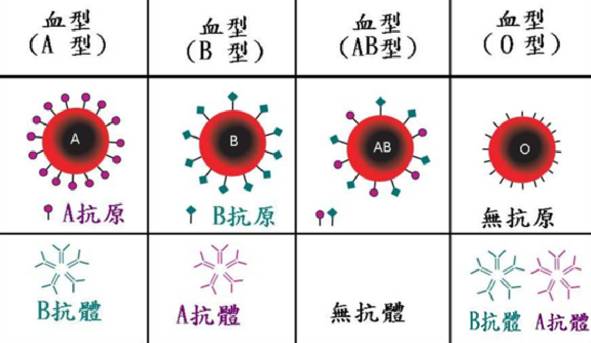 用唾液也能测血型以后改吐口水认亲了