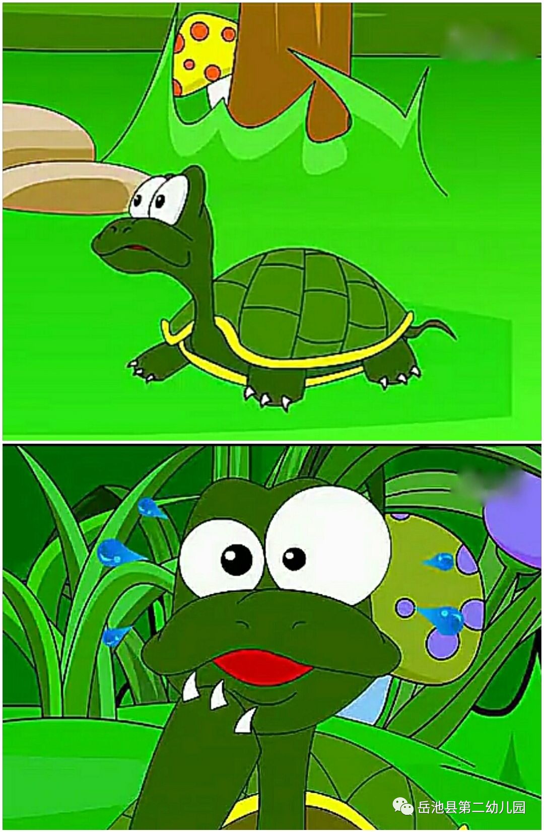 二幼故事乐园聪明的小乌龟