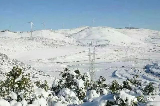 春城也有入冬时,云南文山市丘北舍得草场大雪纷飞