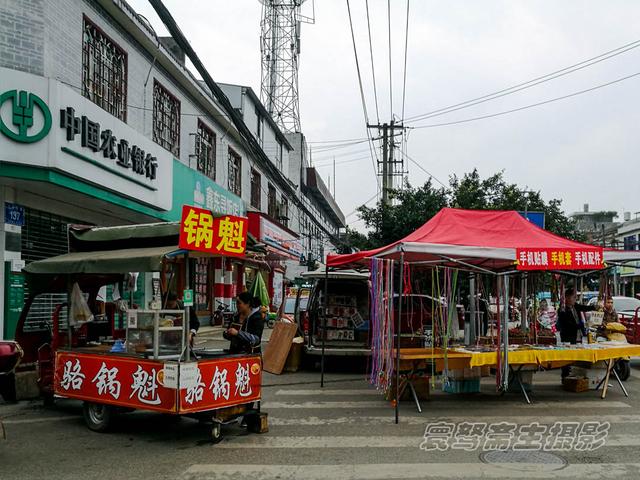 骆姓的人口_阳新渡口骆氏三支龙舟下水 八方来贺 举族欢腾 真龙入水 福泽绵长(2)