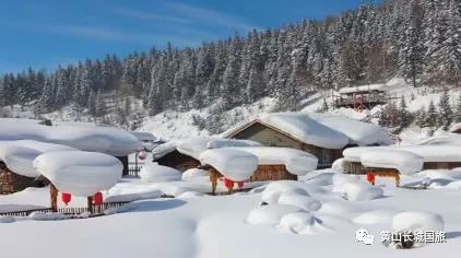 黄山出发,哈尔滨,亚布力,雪乡 漠河北极村 精华9日游