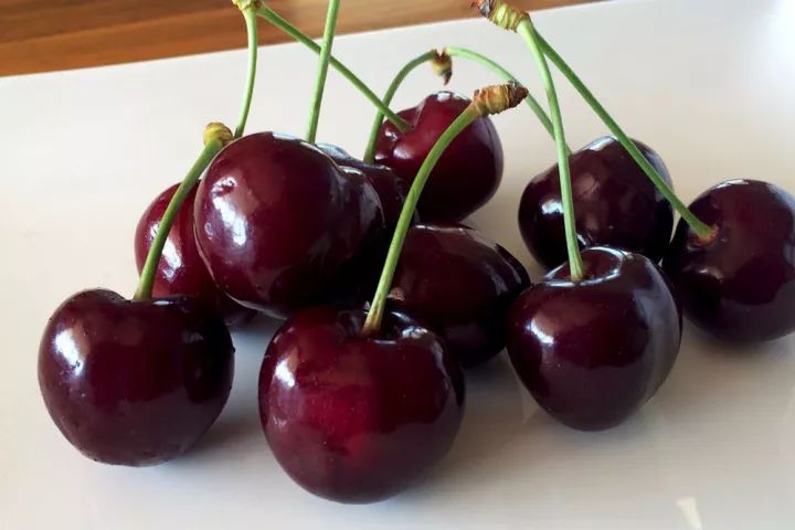 stella cherries