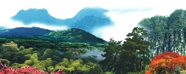 上杭梅花山