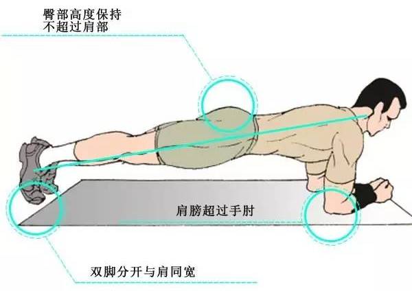 (平板支撑的正确姿势.)