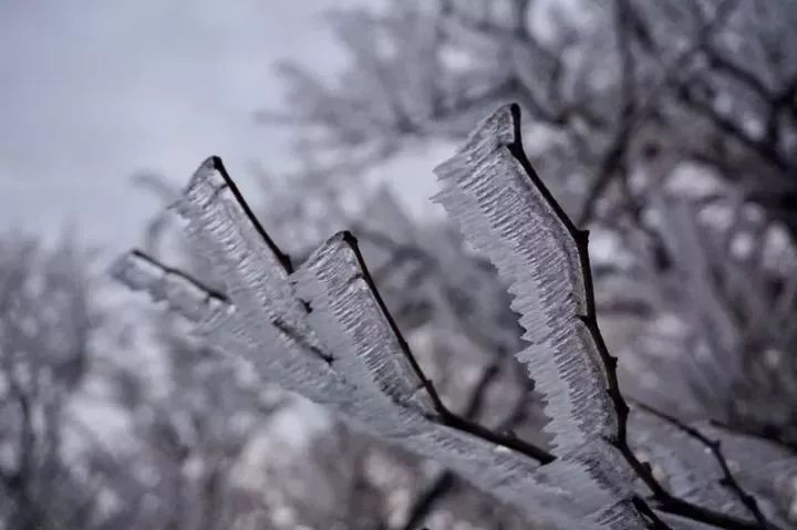 湖州下雪了?朋友圈疯传