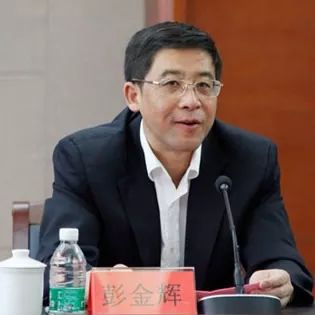 昆明理工大学校长彭金辉成功当选院士.