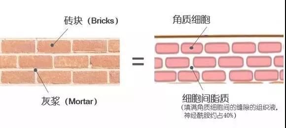 角质层受损怎么办