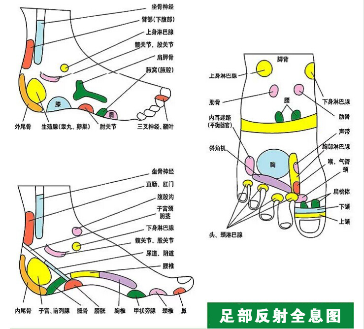 把一些高清的图片分解,把我们服务流程里的足底部,足内侧,足外侧,足背