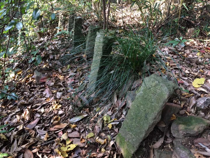 西湖荒山现野冢坟疑似太平天国古墓群