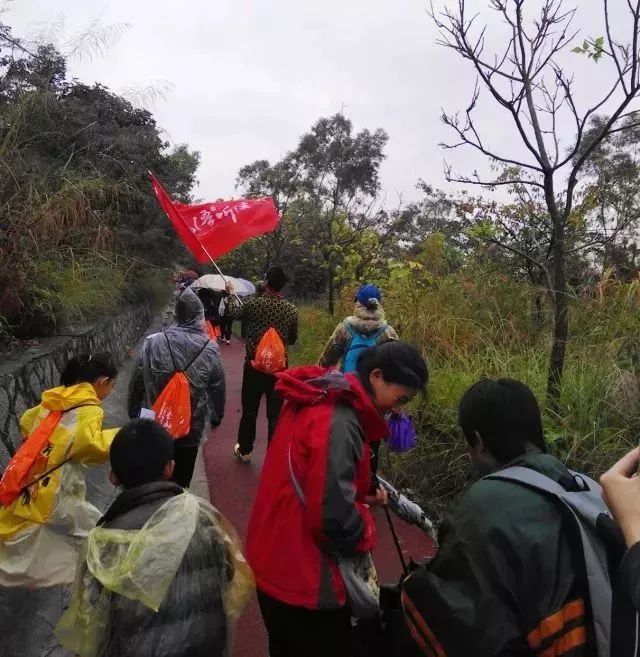 日出山海共一色～本周六,一起登顶冬日曾山吧!