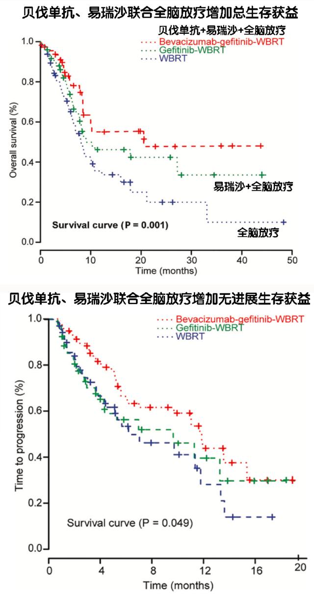 贝伐单抗与易瑞沙可增强肺癌脑转移灶全脑放疗的疗效