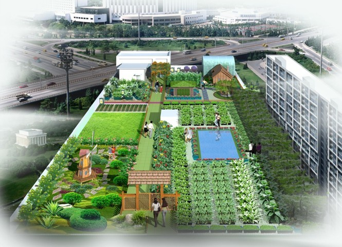 将城市的闲置天台利用到屋顶进行绿色有机蔬菜种植的绿化改造