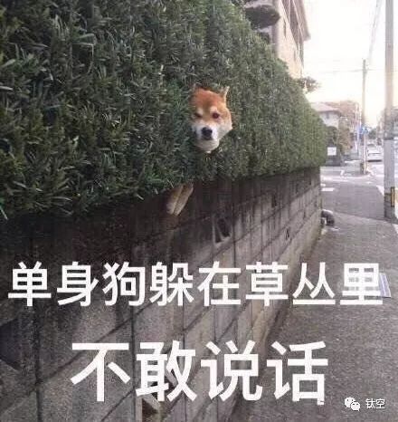 哪里就有单身狗吃货们倔强的反抗!