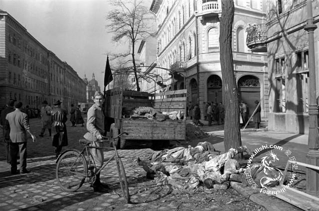 1956年匈牙利反抗苏联的十月革命