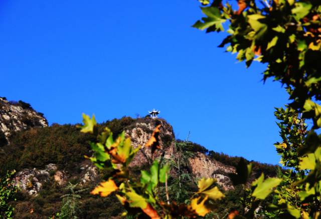 日照有多少人口_山东有哪些好酒 本地人都未必知道,山东十七地市白酒最全名(2)