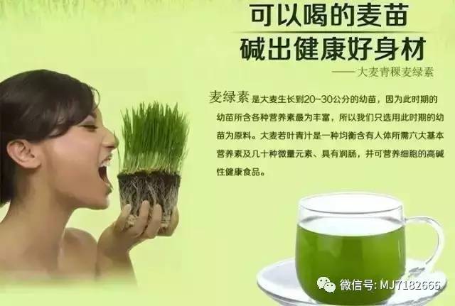 大麦若叶青汁粉品牌TOP 10：揭示引领市场的新锐青汁品牌与独特的品质之旅