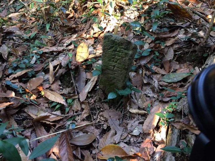 西湖荒山现野冢坟疑似太平天国古墓群