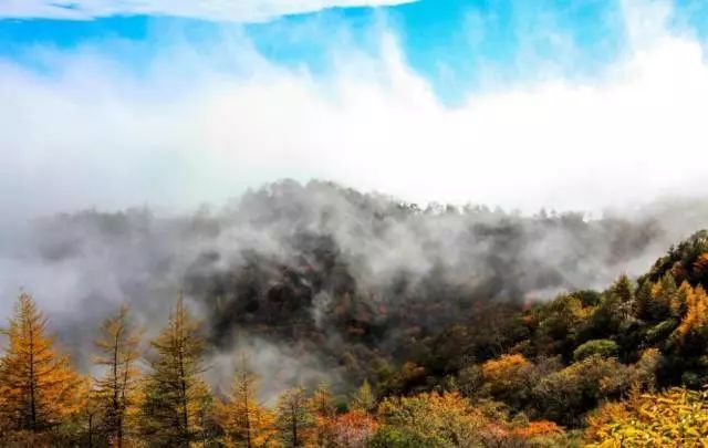 重山叠岭,雾锁云峰,彩林叠翠.