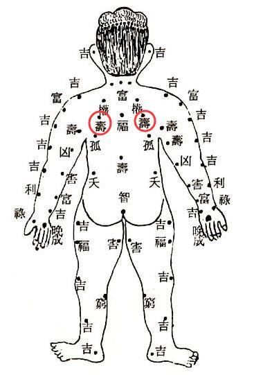 肩胛骨有痣 此痣一般是成对长出的,拥有它们之人也无论是男女,均可受