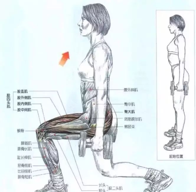 3,站姿伸髋注意:新手可以用手扶住墙抬腿保持平衡老手可以用龙门架