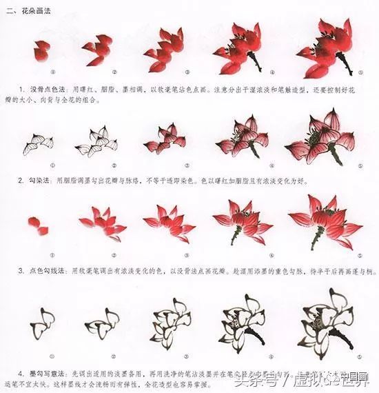 中国国画-写意荷花的绘画技法