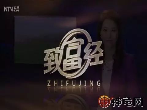 那些《致富经》不会告诉你的秘密